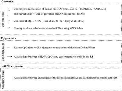 Multi-Omics Analysis Reveals MicroRNAs Associated With Cardiometabolic Traits